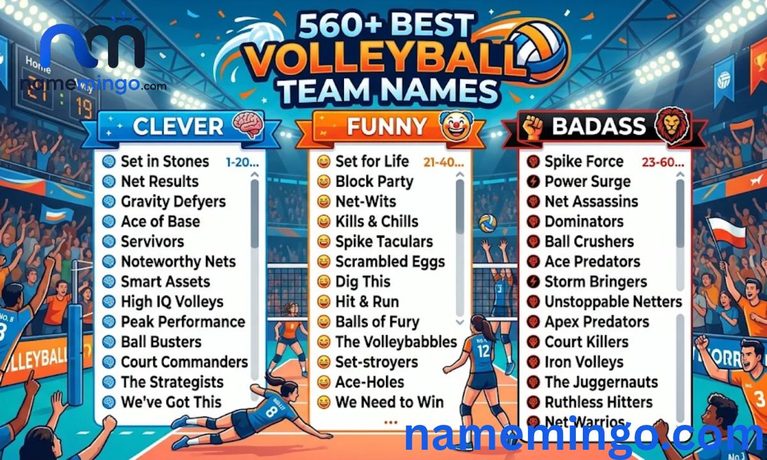 560+ Best Volleyball Team Names Clever, Funny, and Badass Ideas 